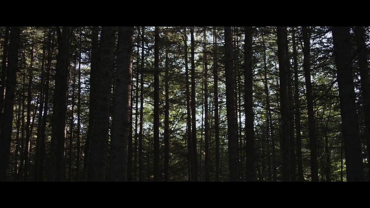 HERE ALONE Teaser Trailer (2016) Horror Movie