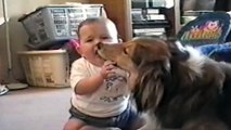 Adorable Animals Bonding With Their Owners