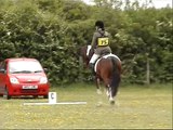 Barney scores 26 Dressage