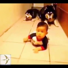 Very funny videos that make you laugh and cry Funniest Video Ever