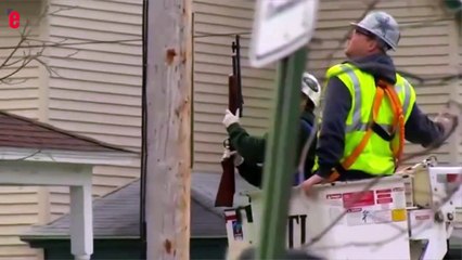 Un ours égaré devient l'attraction d'un quartier résidentiel près de New York