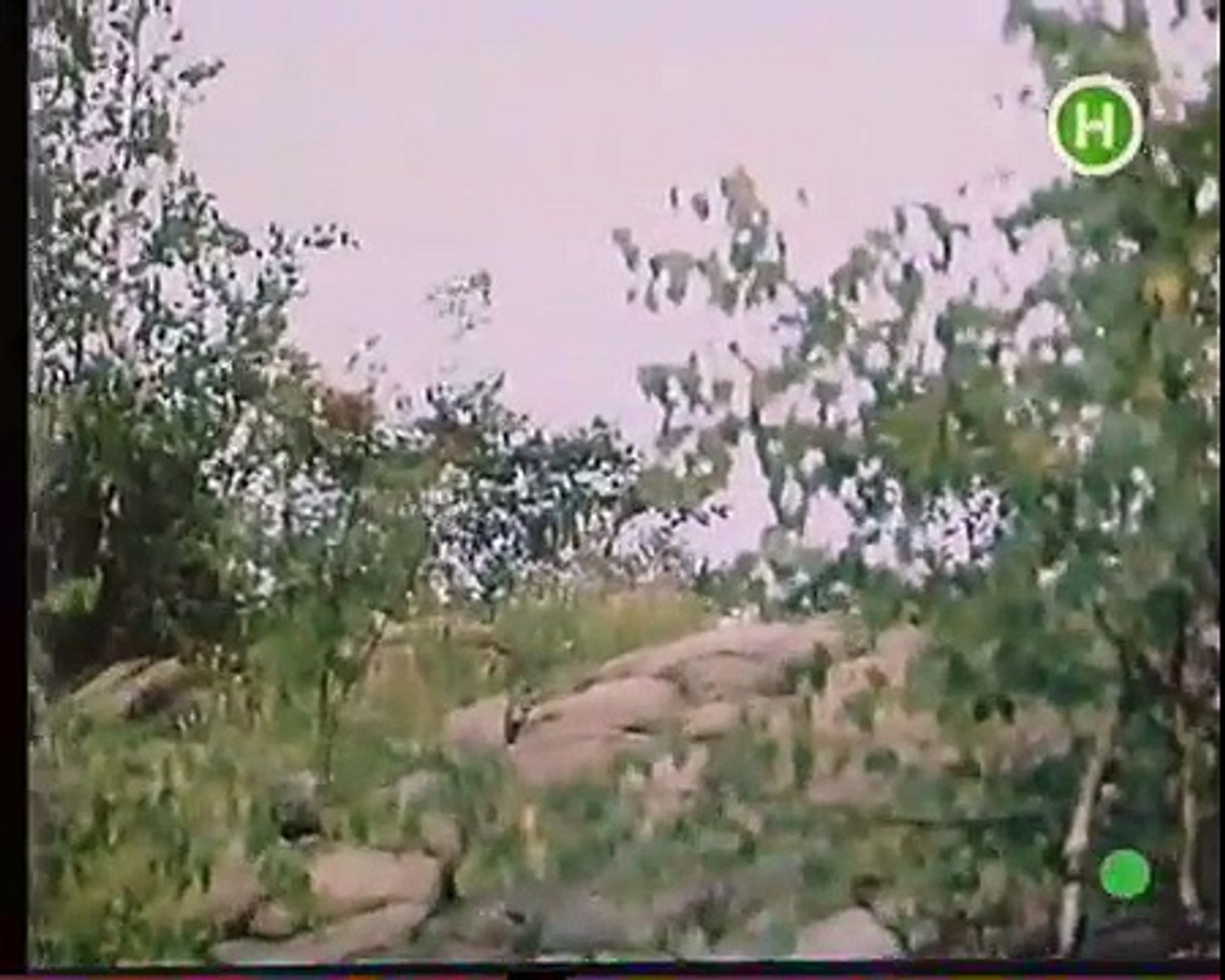 ⁣Невідома Україна. «Як народжувалась наша Держава»