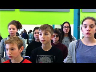 Choeur de la Cham du collège JLE (Mazamet)-  "indélébile" d'Aldebert (extrait)