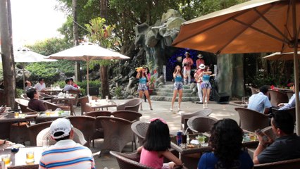 WAKA WAKA - BAN NHAC FLAMENCO GIPSY FIRE .