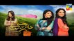 Haya Ke Daman Mein -Episode 21 Promo -Hum TV Drama 26 April 2016