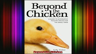 READ book  Beyond the Chicken Free Online