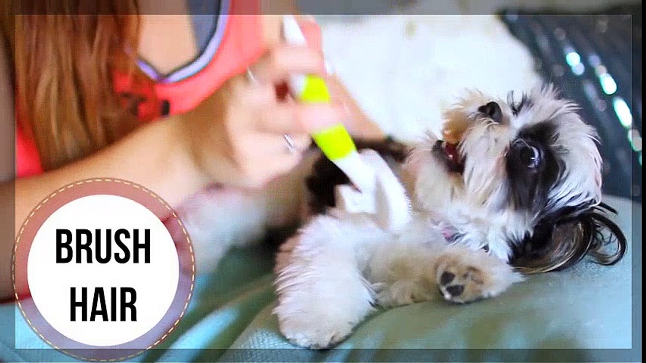 Chloe la Rutina de la Mañana ♡ | HD