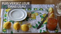 La vraie recette de la citronnade, selon Beyoncé