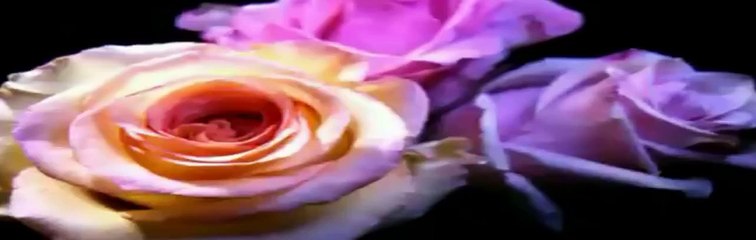 Το βάλς των λουλουδιών~Eugen Doga...Grammofon...by ℒเɳa╮