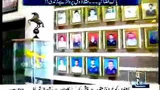 Pakistan Air force Day Special Transmission