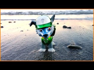 Rocky from PAW PATROL stands on the beach relaxing outside