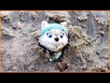 Everest from PAW PATROL gets buried in the sand outside!