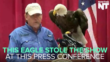 [HOLD] Eagle Interrupts Press Conference