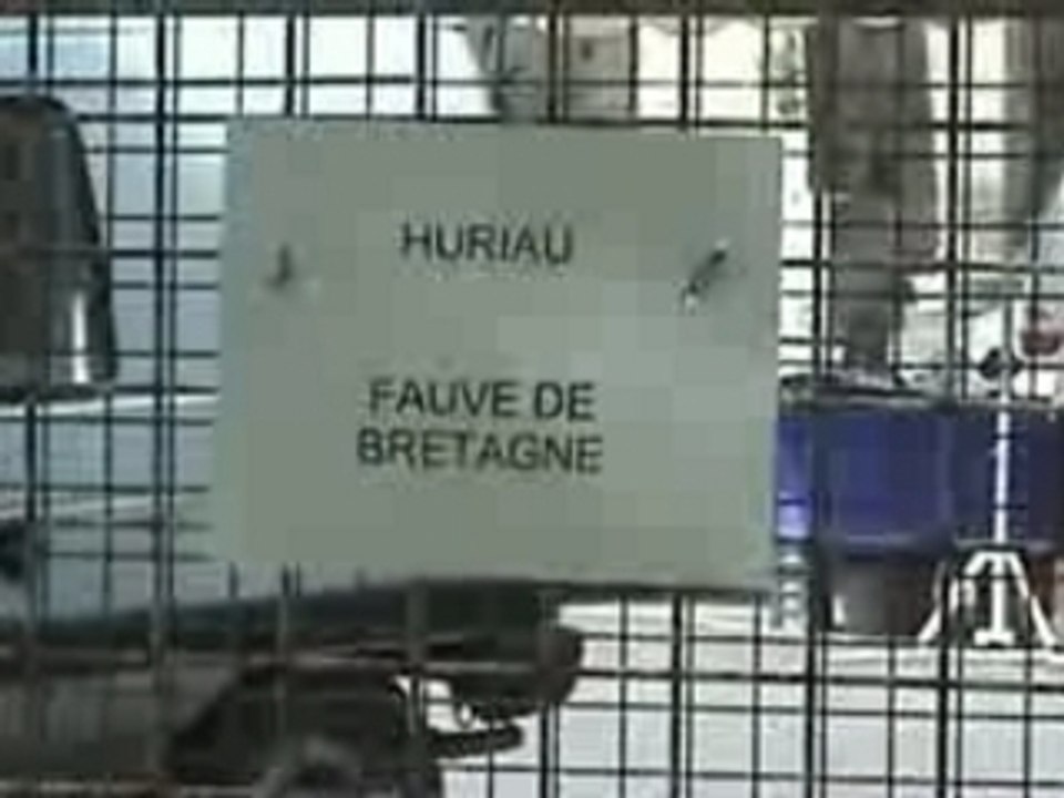 Journée du Chien courant