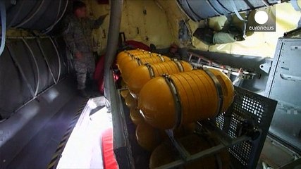 Deux chasseurs américains envoyés en Roumanie pour "rassurer"