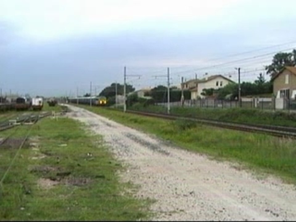 Baygon vert
