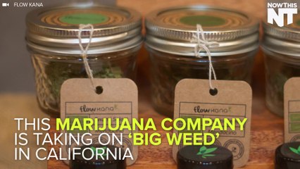 This Company Wants To Protect Small Farmers From "Big Weed"