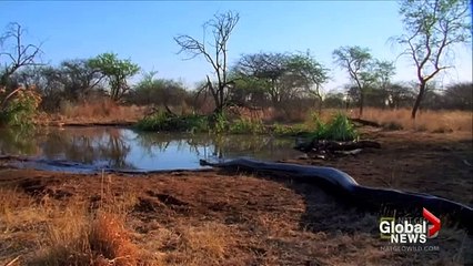 Understanding Why Python Attacks Are Rare and How to Protect Your Code