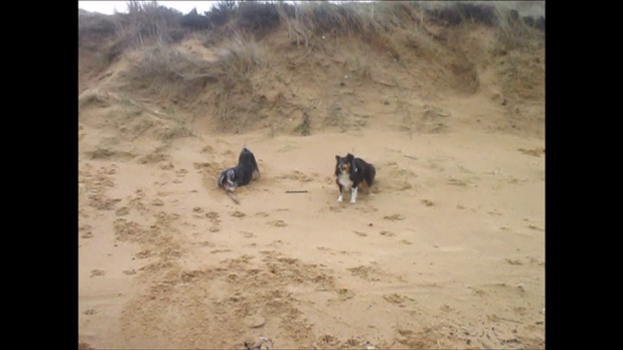 2016.02.14 - It'sMe escalade la dune