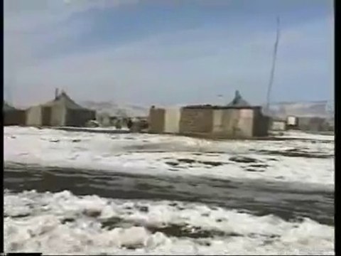 Чечня. Убийство с согласия мирового сообщества. Ч.4