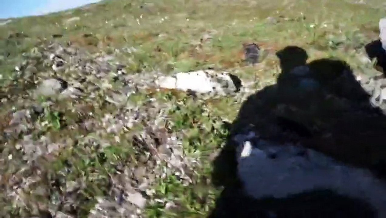 Il se fait attaquer par un ours en pleine montagne ! Il a de la chance de s'en sortir !