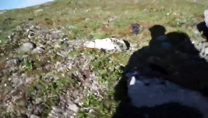 Il se fait attaquer par un ours en pleine montagne ! Il a de la chance de s'en sortir !