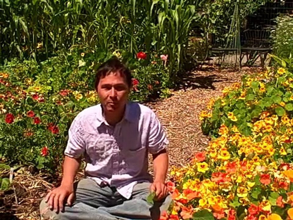 how to be a gardener