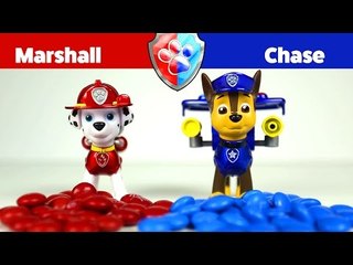 Marshall VS Chase in the PAW PATROL Candy Counting Challenge!!