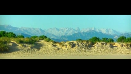 Belharra Surf Club stage Espagne 2014