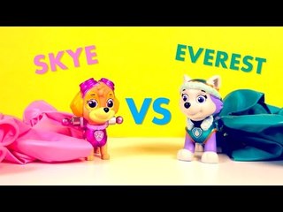 Descargar video: Skye VS Everest in the Paw Patrol Balloon Color Counting Challenge