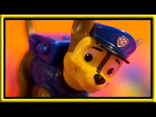 Paw Patrol Toy Unboxing - Photo Slide Show of the Paw Patrol in BirthdayCandyLand