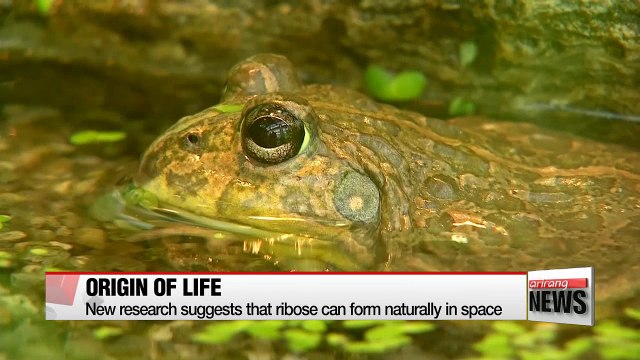 New research suggests that ribose can form naturally in space