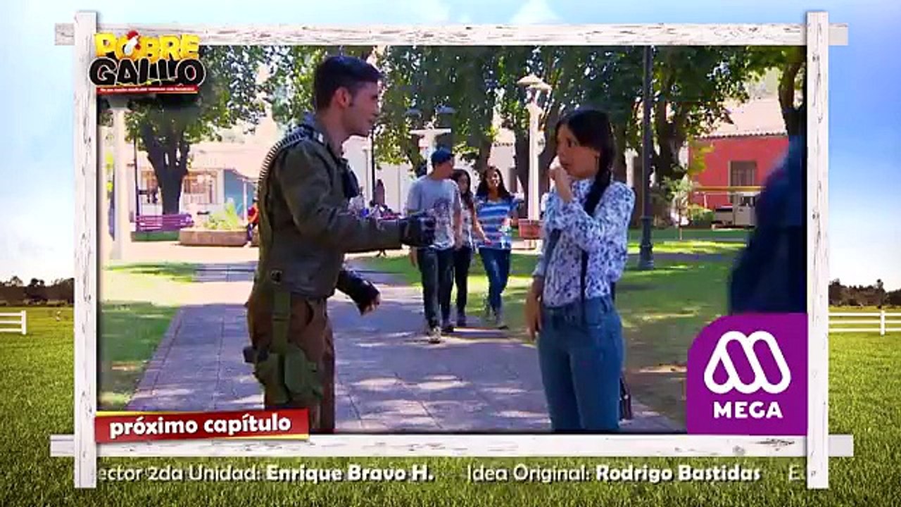 78 Avance Pobre Gallo