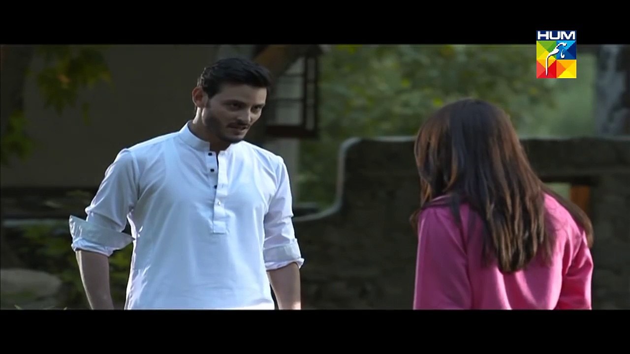 Diyar E Dil Episode 23 Full HUM TV Drama 18 Aug, 2015