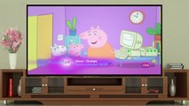 TimeForKidsTV | Peppa Pig en Español - Peppa Bebe Hace Muchos Años ★ Capitulos Completos