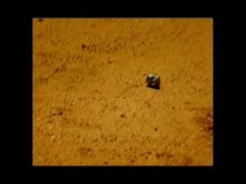 Saez Damien Clip Jours Étranges