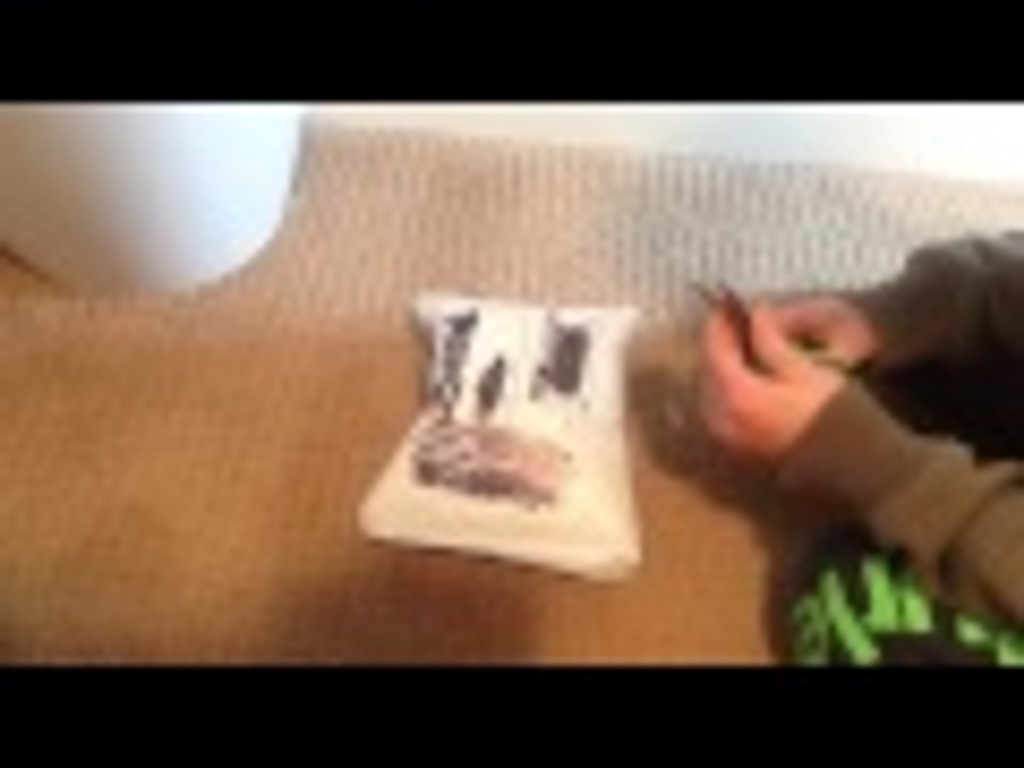 Shengshou pyraminx unboxing