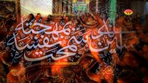 05 [Noha 2015-16 Muharram 1437 Hijari] Janaza Qasim (A.S) Ka By Syed Zain Ali Rizvi - Urdu