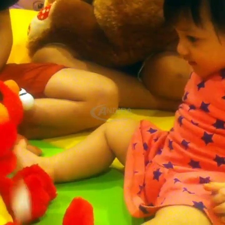 Video Lucu Arsy Addara Maen Sama Boneka Elmo l Anang Hermansyah & Ashanty