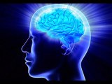 Adakah Brain Plus IQ sebuah produk yang boleh dipercayai?
