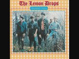 The Lemon Drops I Live In The Springtime Garage Rock 60s