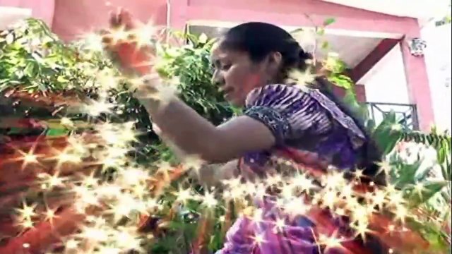 CATARINA TUM ORDOÑEZ, VOL 10, TE VENGO A DECIR, NUEVO 2015