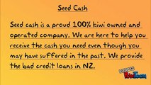 Seed Cash Offering Instant Loans in 15 Minutes