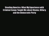 Ebook Stealing America: What My Experience with Criminal Gangs Taught Me about Obama Hillary