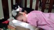 Cat Licks Baby In Cribd-funny videos for kids
