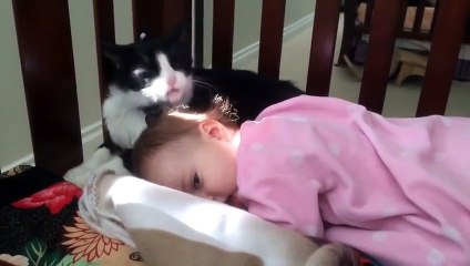 Cat Licks Baby In Cribd-funny videos for kids