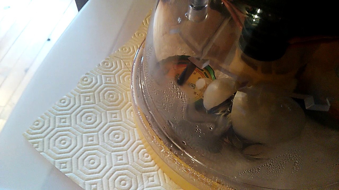 Naissance Canou 27-04-2016