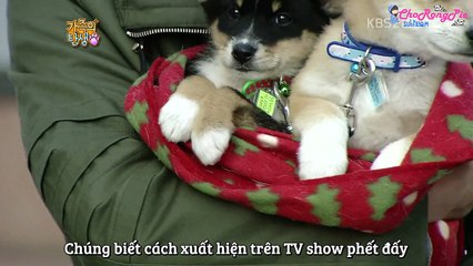 [Vietsub] Apink - Birth Of A Family Ep 2