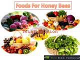 Honey Bee Rescue: Foods that Helps Honey Bees to Survive