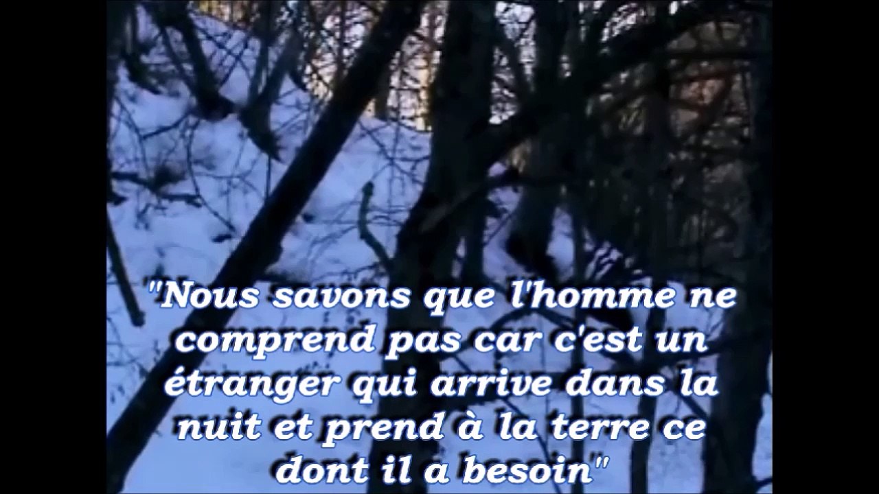le loup est de retour